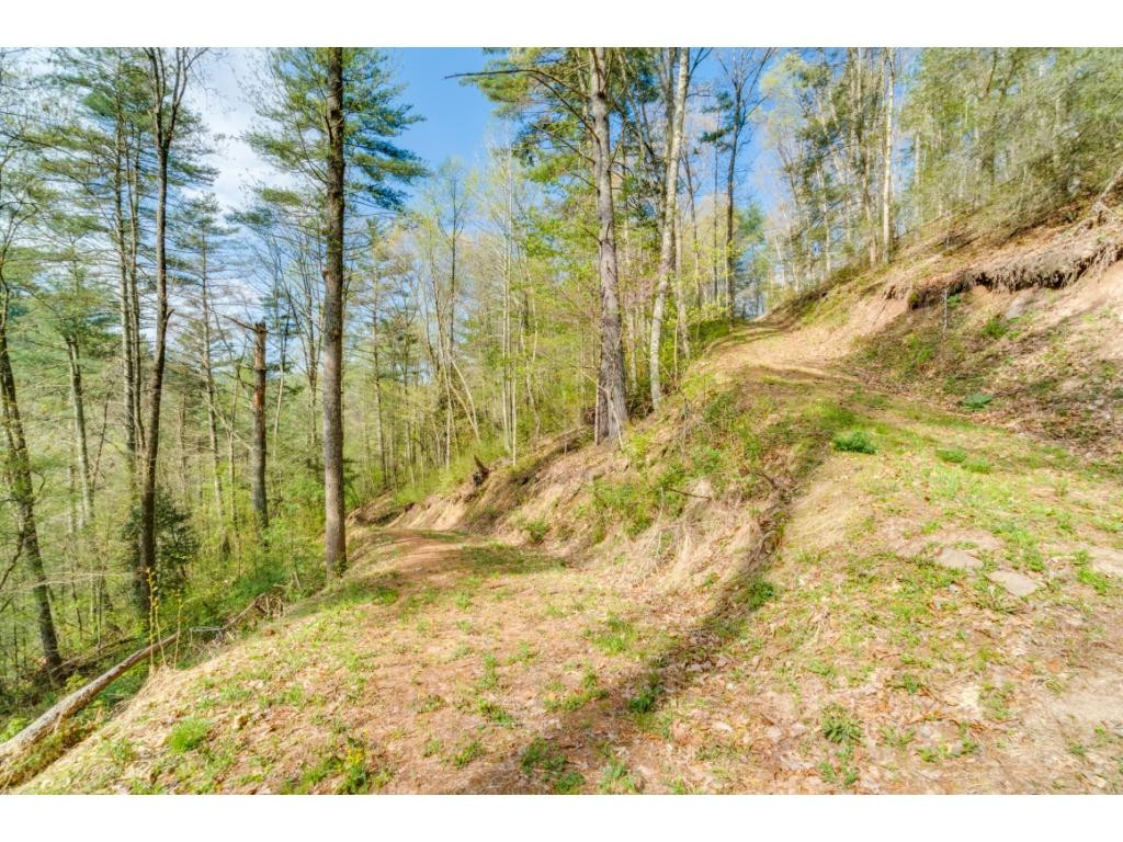 Tbd Kyte Hollow Road Butler, TN 37640 - Photo 18 of 36 Photo 18