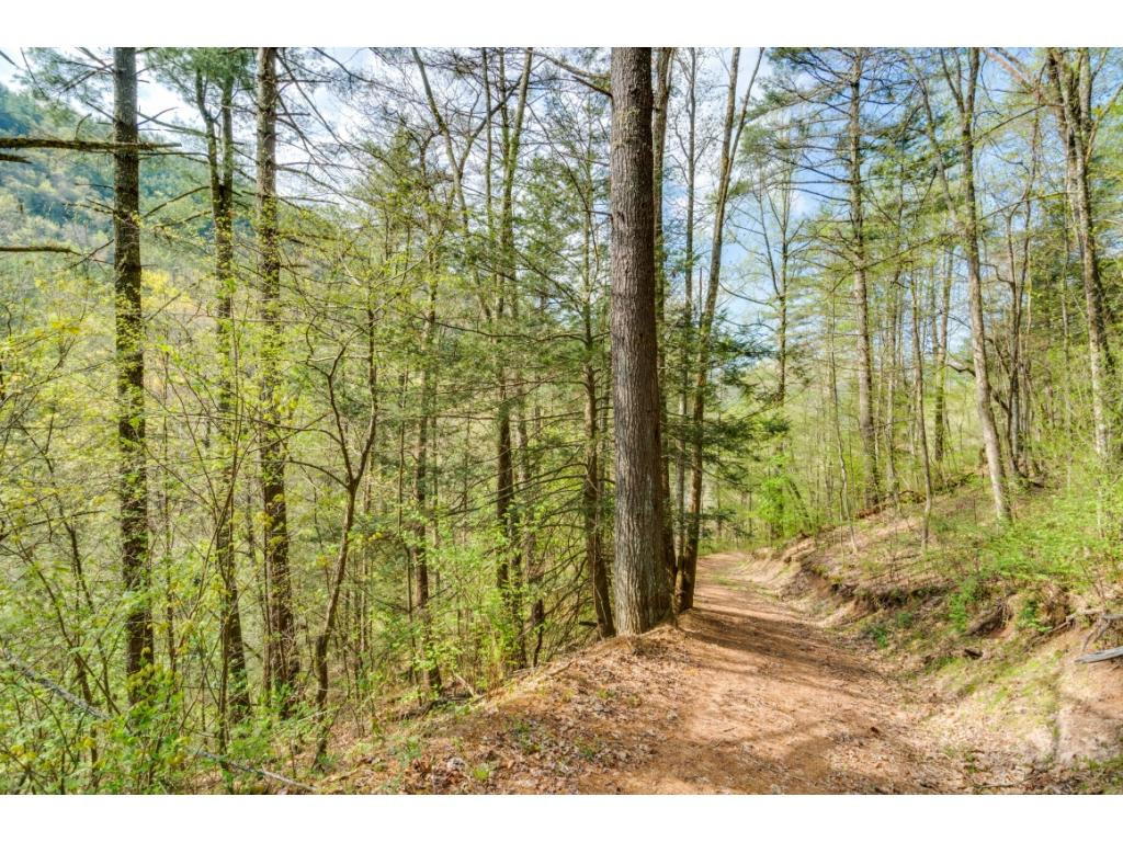 Tbd Kyte Hollow Road Butler, TN 37640 - Photo 19 of 36 Photo 19