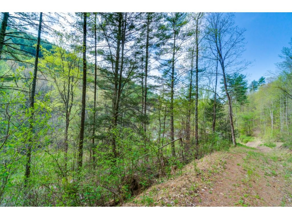 Tbd Kyte Hollow Road Butler, TN 37640 - Photo 21 of 36 Photo 21