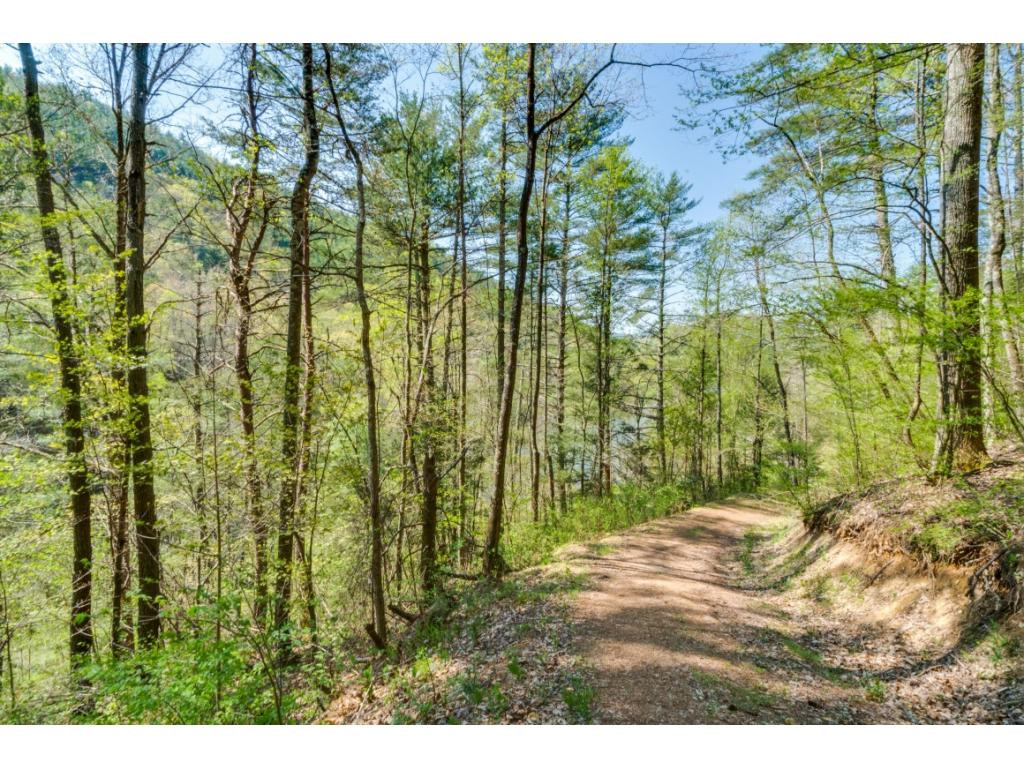 Tbd Kyte Hollow Road Butler, TN 37640 - Photo 3 of 36 Photo 3