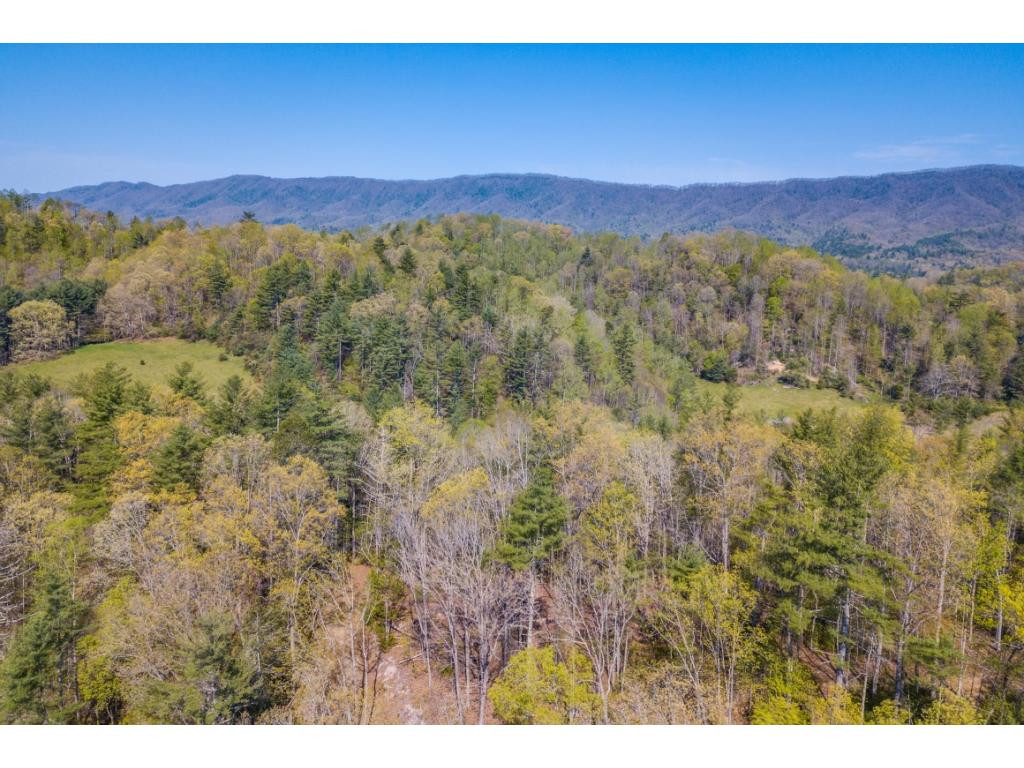 Tbd Kyte Hollow Road Butler, TN 37640 - Photo 32 of 36 Photo 32