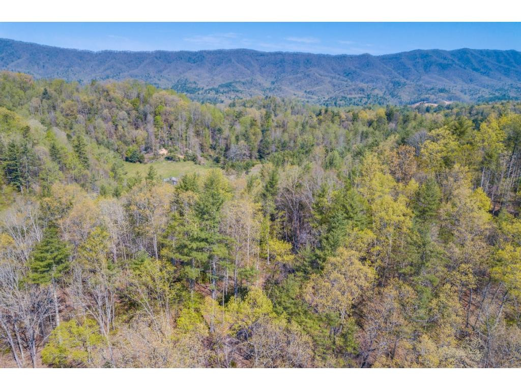 Tbd Kyte Hollow Road Butler, TN 37640 - Photo 33 of 36 Photo 33