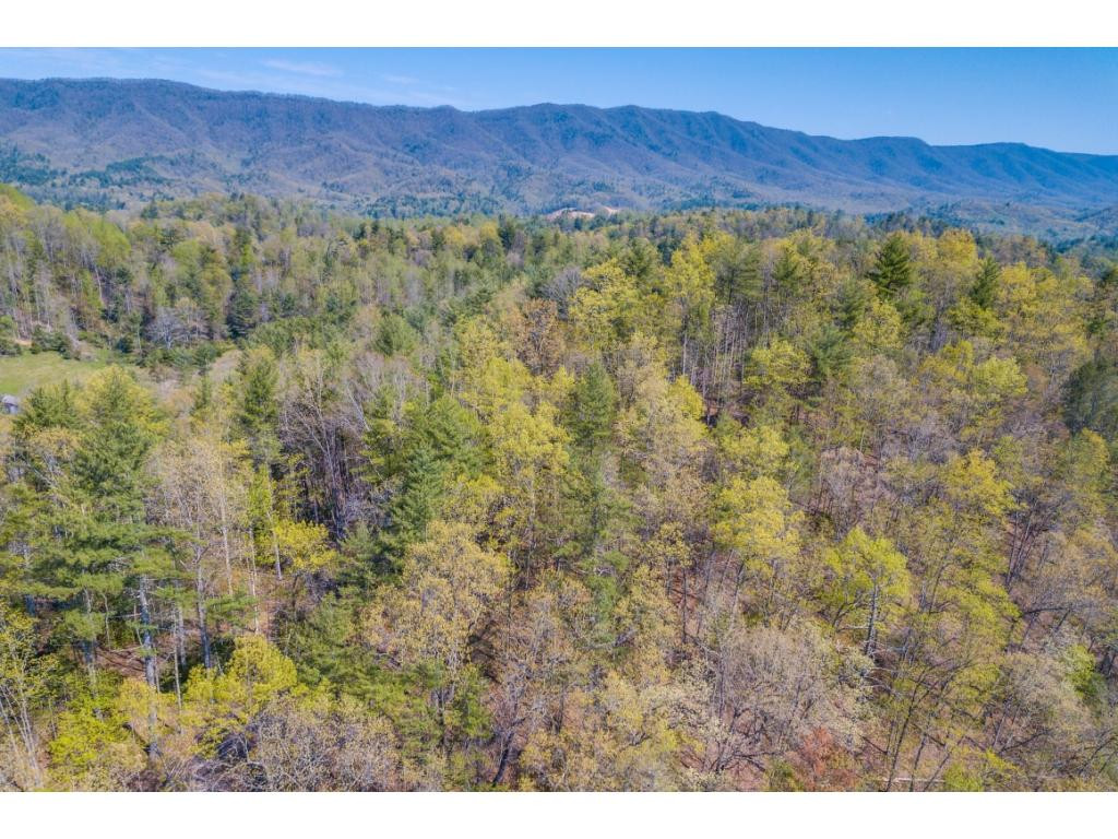 Tbd Kyte Hollow Road Butler, TN 37640 - Photo 34 of 36 Photo 34