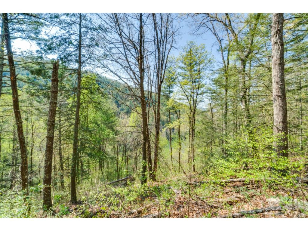 Tbd Kyte Hollow Road Butler, TN 37640 - Photo 6 of 36 Photo 6