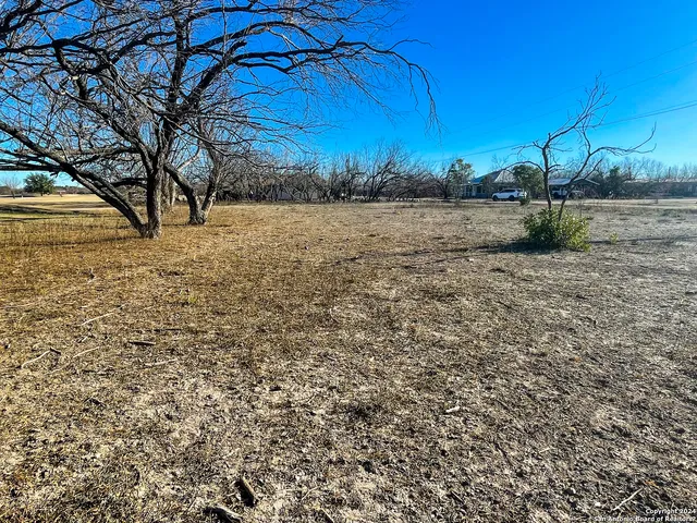 a view of a yard with an trees