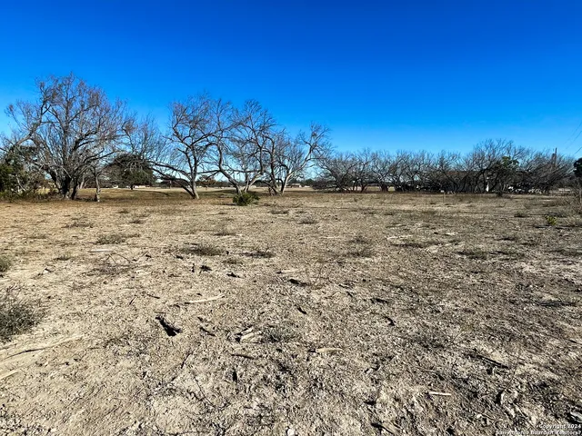 a view of dirt field and trees