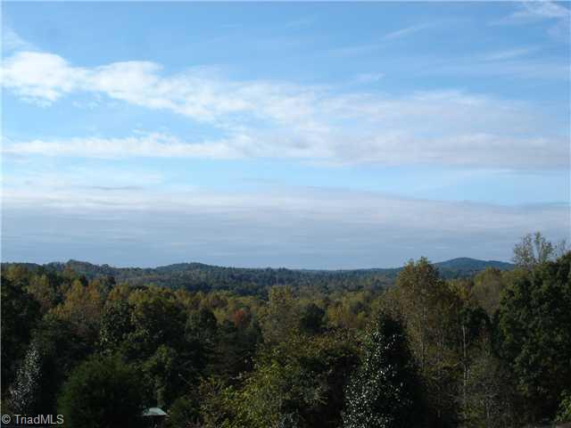 2288 Old Liberty Road Randleman, NC 27317 - Photo 3 of 16 View. Beautiful panoramic view