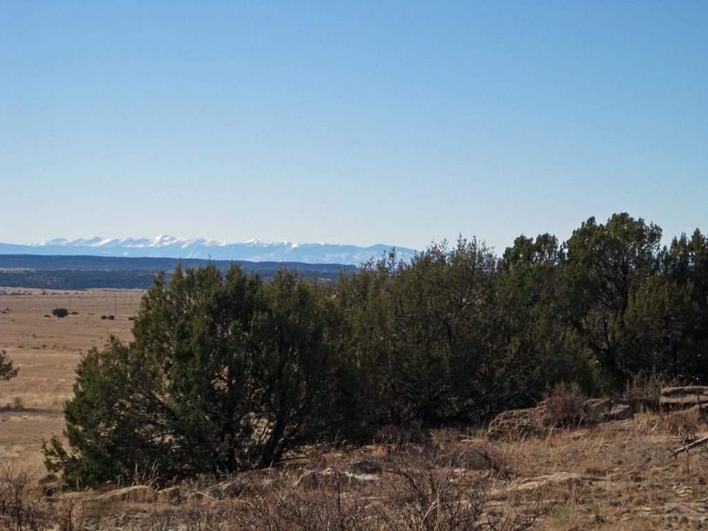 Lot 100 Narrow Gauge Way Rye, CO 81069 - Photo 32 of 42 Gallery Image 32