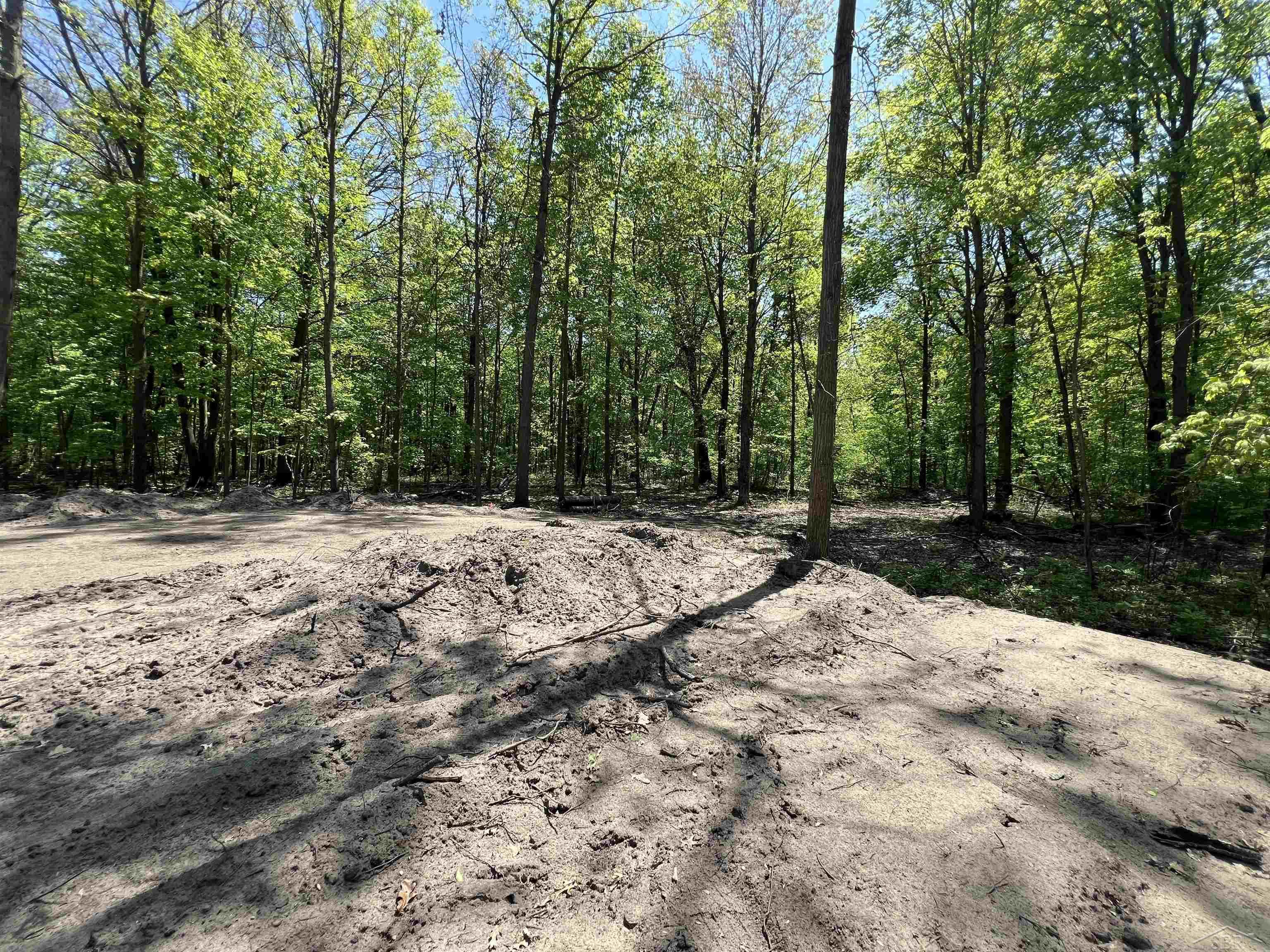65 South Magruder Road Shepherd, MI 48883 - Photo 10 of 22