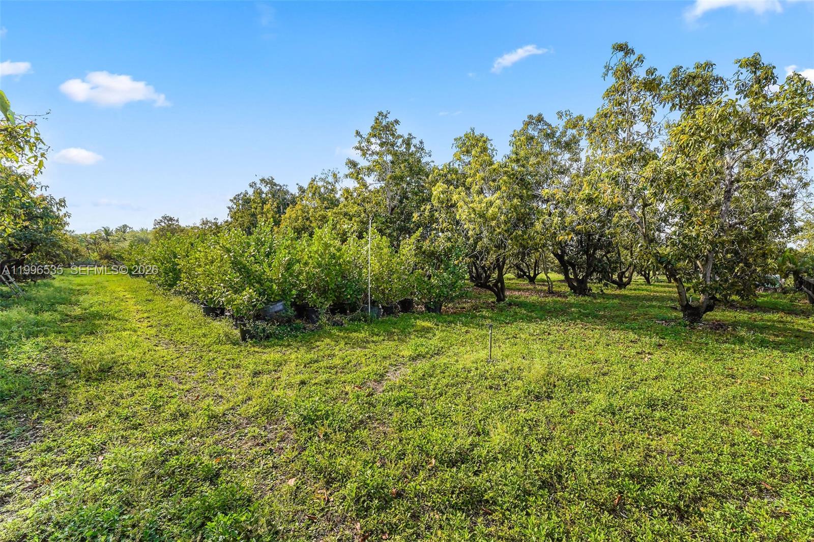 15001 Southwest 256th Street Homestead, FL 33032 - Photo 42 of 44