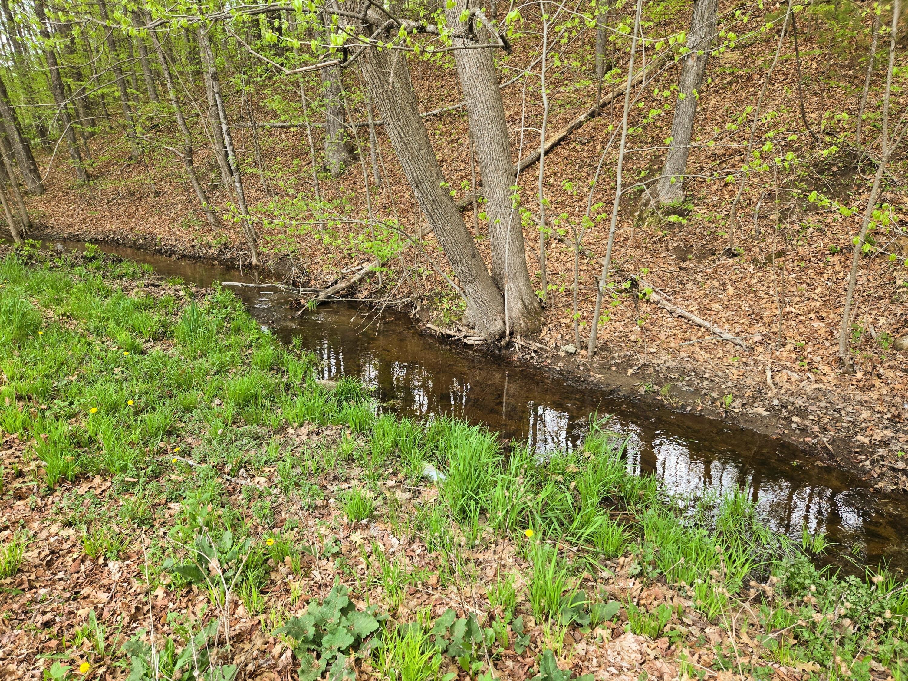 372 River Road Avon, ME 04966 - Photo 10 of 32 372 River Road