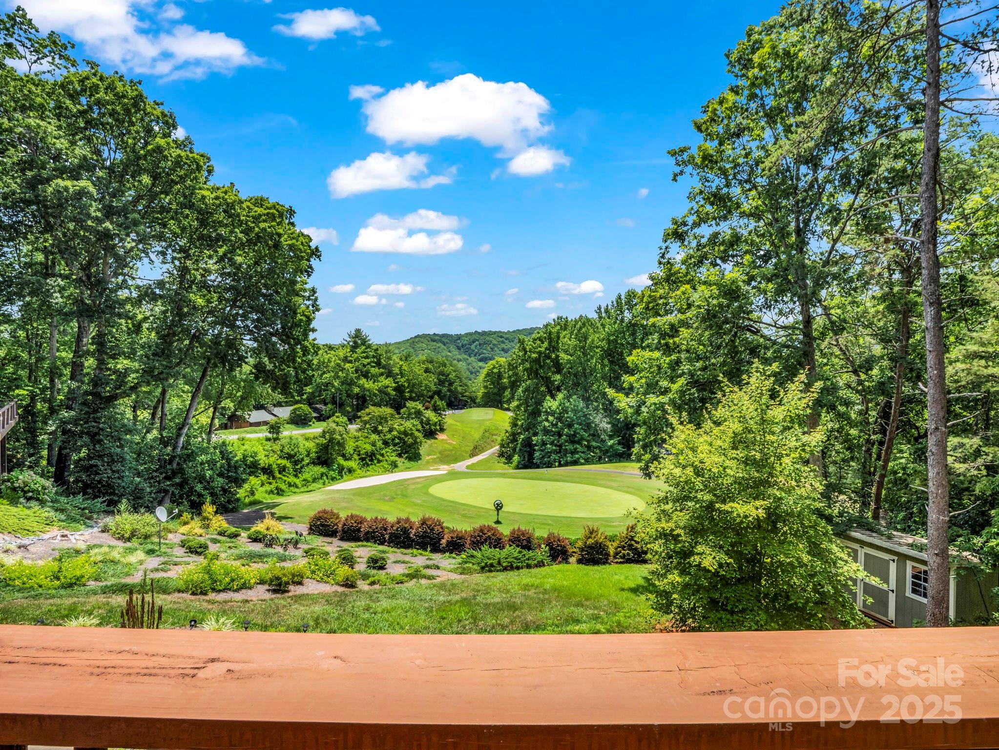 188 Fern Loop Lake Lure, NC 28746 - Photo 2 of 48 a view of outdoor space and yard