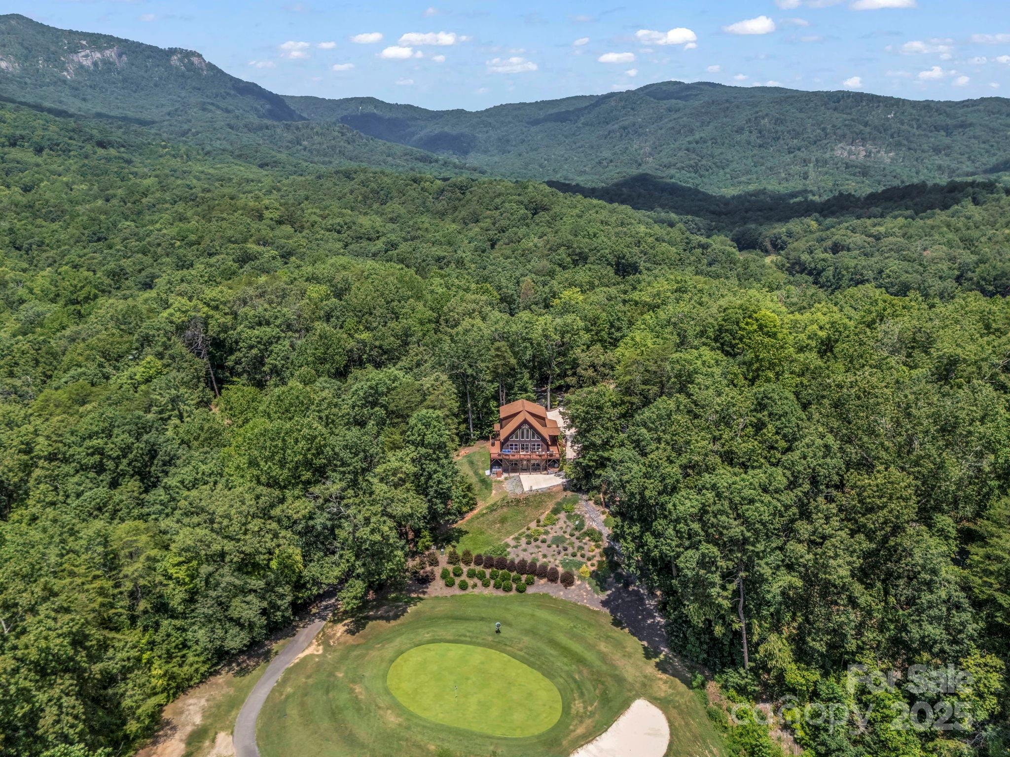 188 Fern Loop Lake Lure, NC 28746 - Photo 47 of 48 a aerial view of a house with a yard and mountain