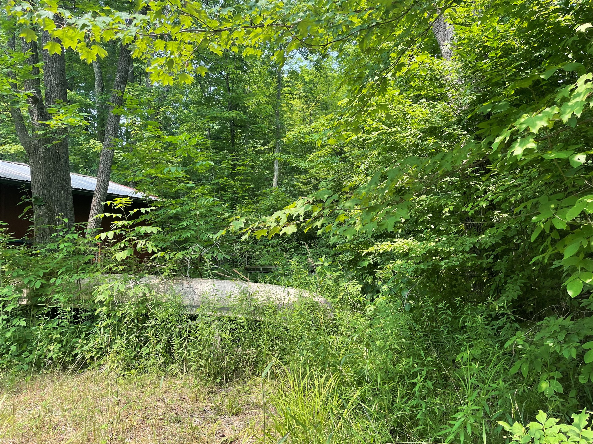 3379 Hanson Road Winter, WI 54896 - Photo 9 of 17