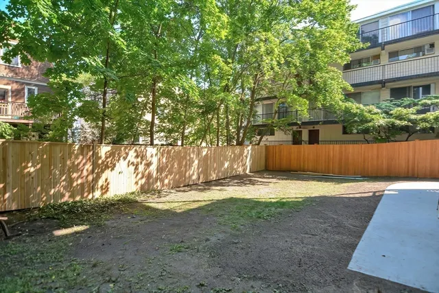 a view of a yard with plants and trees