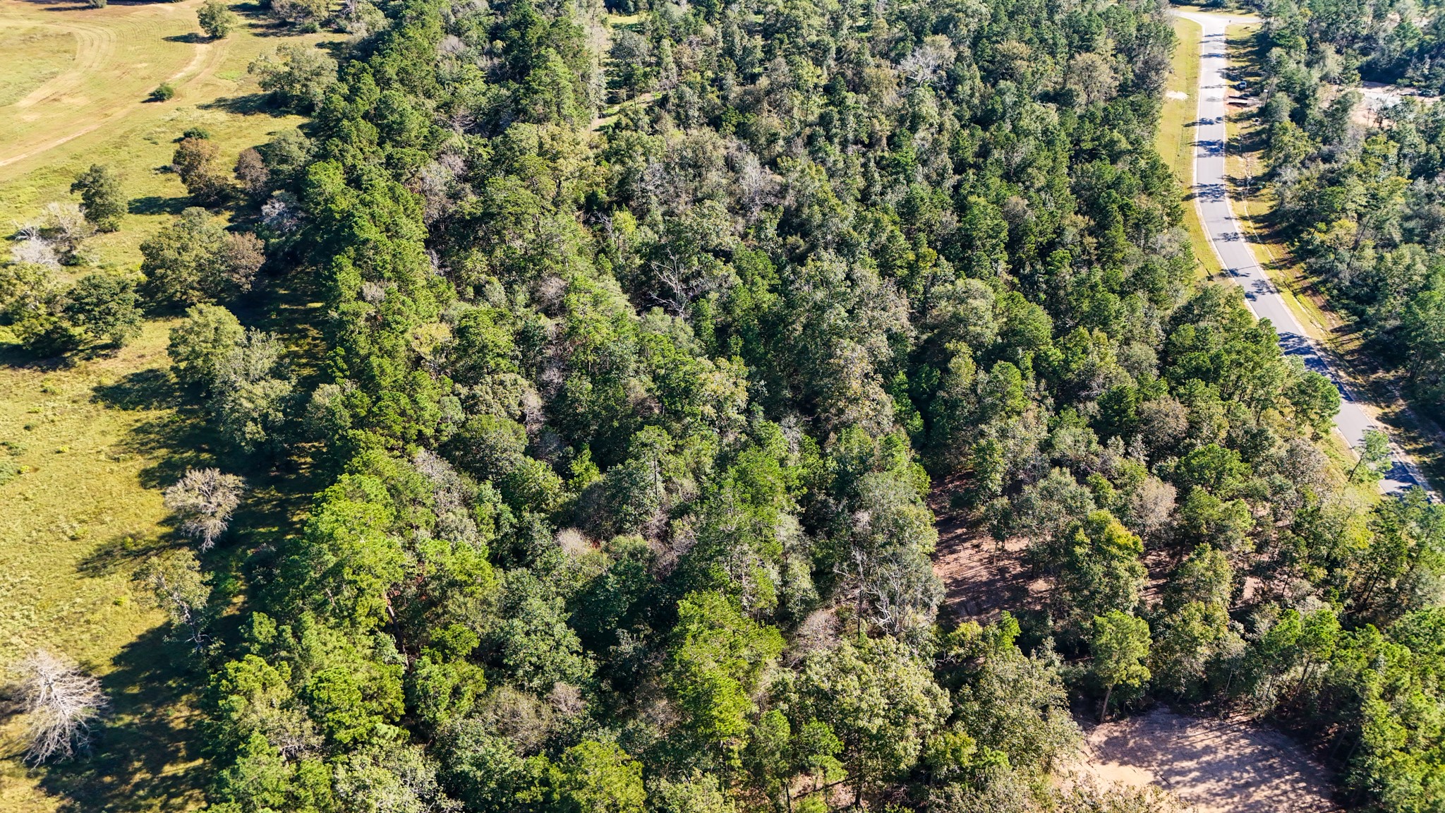 15821 Ridge Rock Road Willis, TX 77378 - Photo 12 of 21 The perfect canvas for your dream home, surrounded by nature and offering a peaceful retreat.