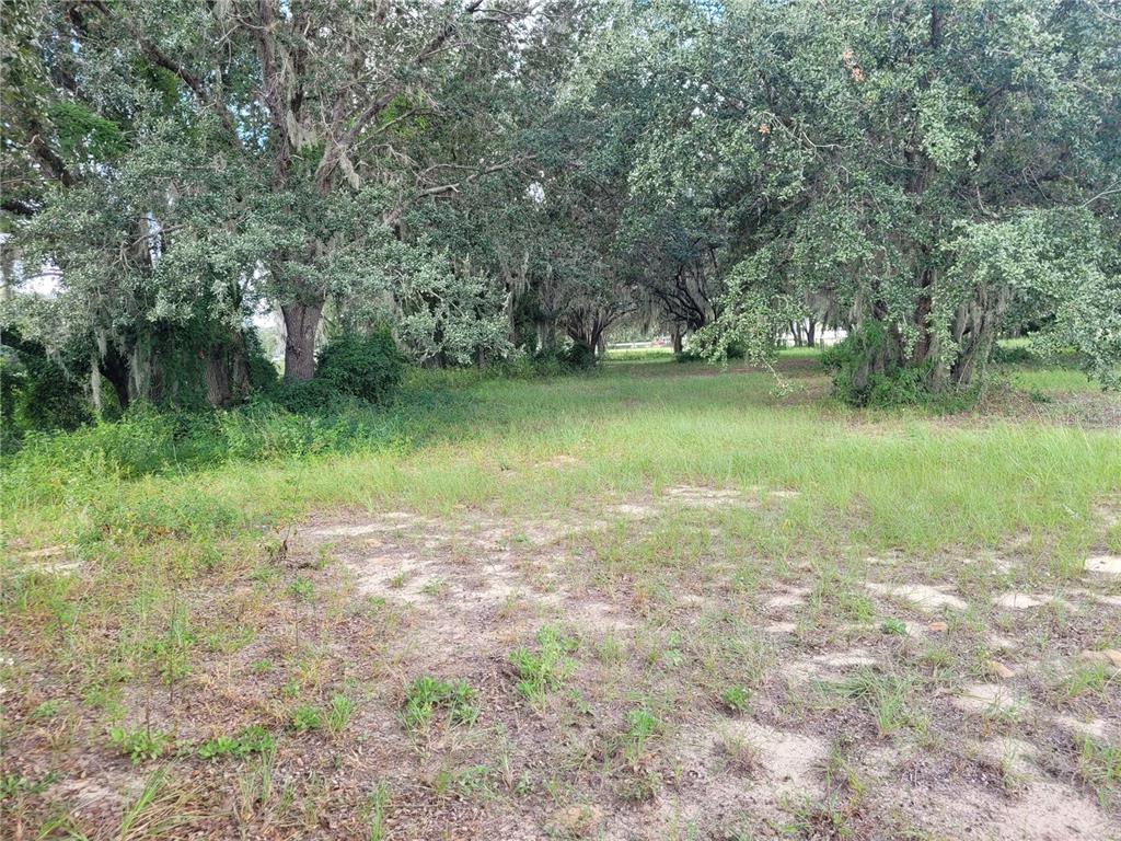 2420 Sloans Ridge Road Groveland, FL 34736 - Photo 1 of 1 lot