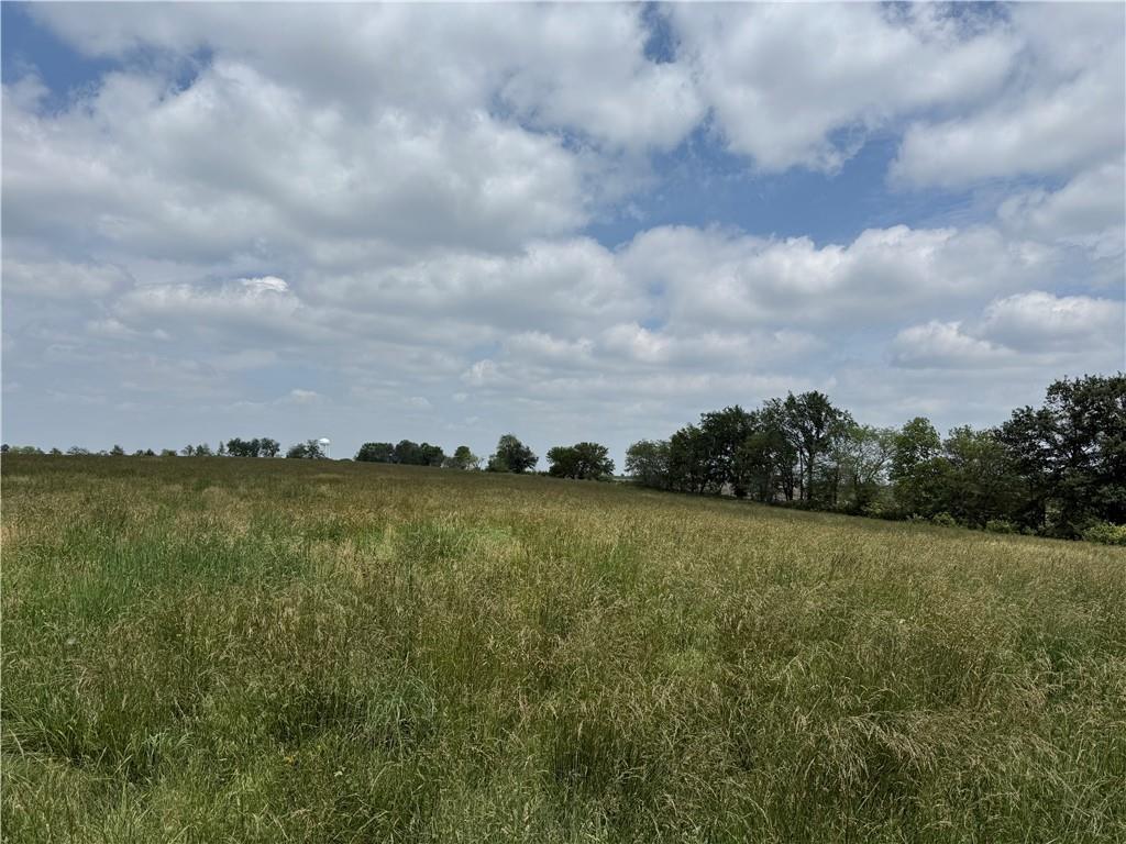 30 M/l Acres Raven Road Cameron, MO 64429 - Photo 18 of 18