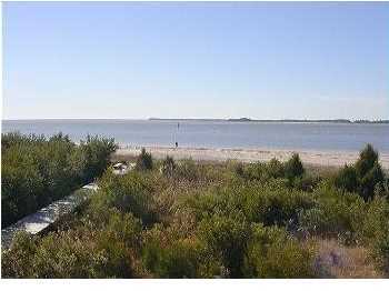 3620 Yacht Club Road, Unit B Edisto Beach, SC 29438 - Photo 19 of 23 Additional Photo