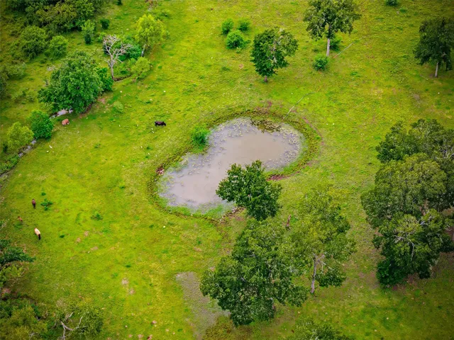 $969,000 | 3667 Clemons Switch Road, Brookshire, TX 77423