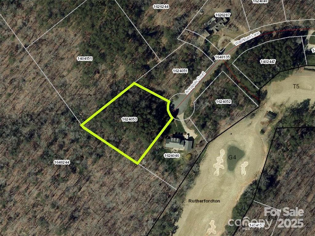 Lot 0 Annapolis Court Rutherfordton, NC 28139 - Photo 27 of 27