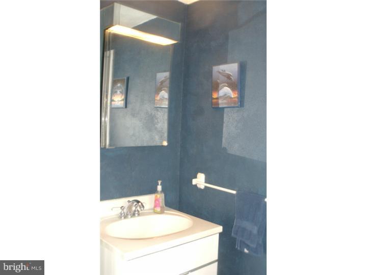 24 Rampart East Media, PA 19063 - Photo 19 of 25 Bathroom