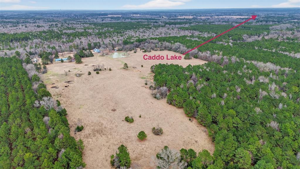 720 Haggerty Road Karnack, TX 75661 - Photo 36 of 39 a view of a lake with a mountain