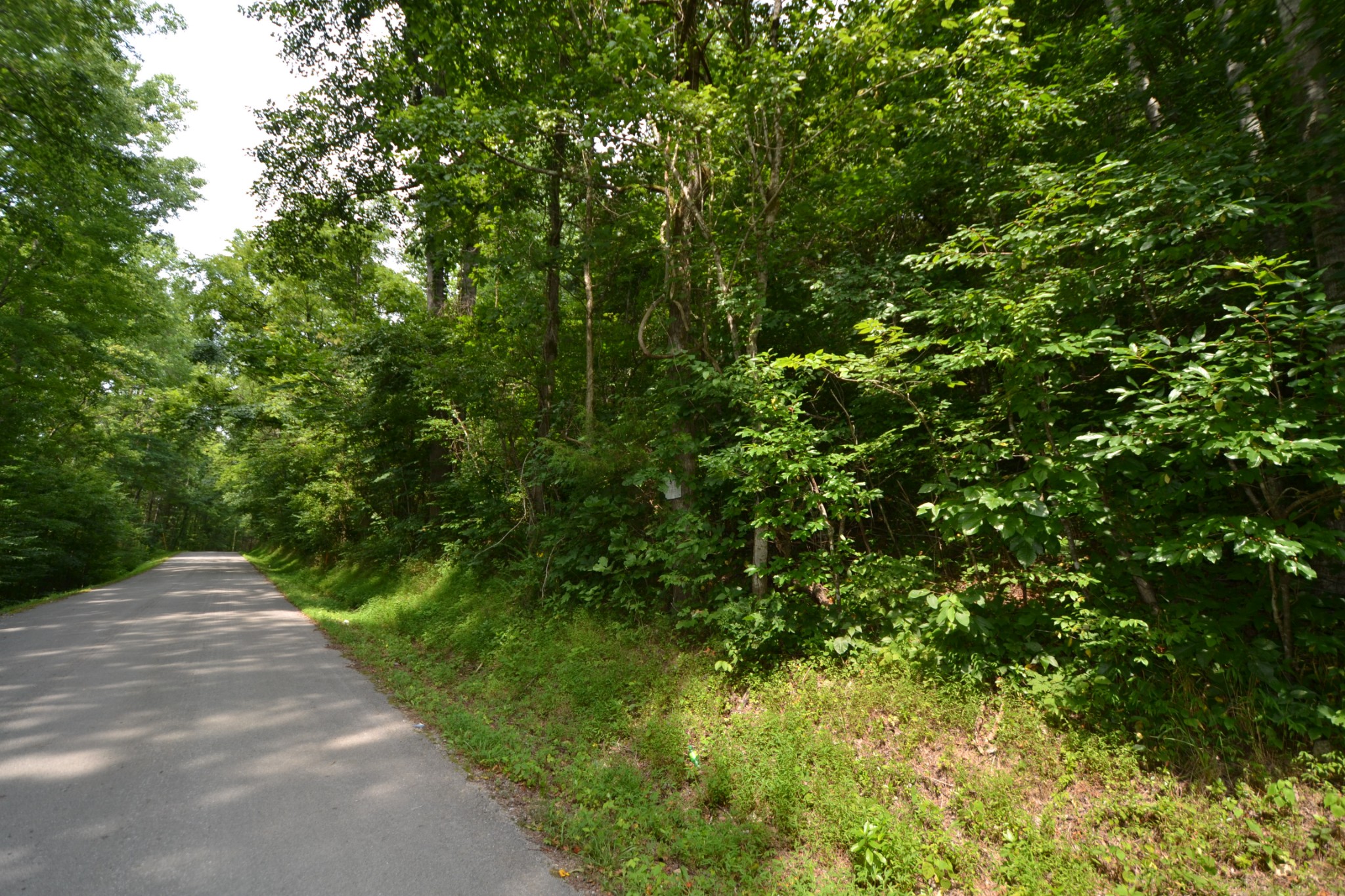 2 Norton Branch Road Beechgrove, TN 37018 - Photo 1 of 8 Gallery Image 1