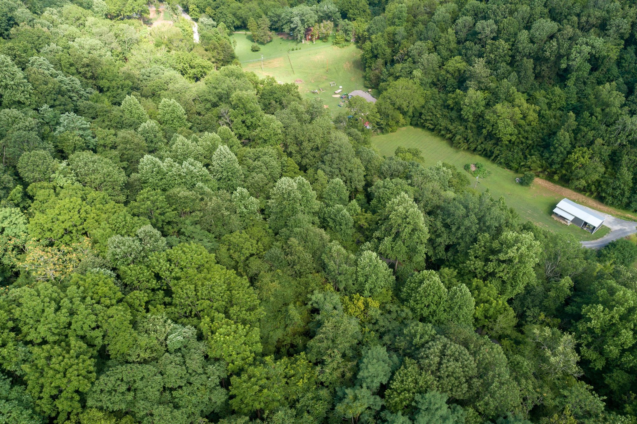 2 Norton Branch Road Beechgrove, TN 37018 - Photo 4 of 8 Gallery Image 4