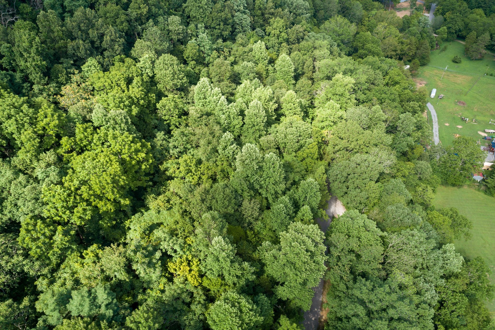 2 Norton Branch Road Beechgrove, TN 37018 - Photo 5 of 8 Gallery Image 5