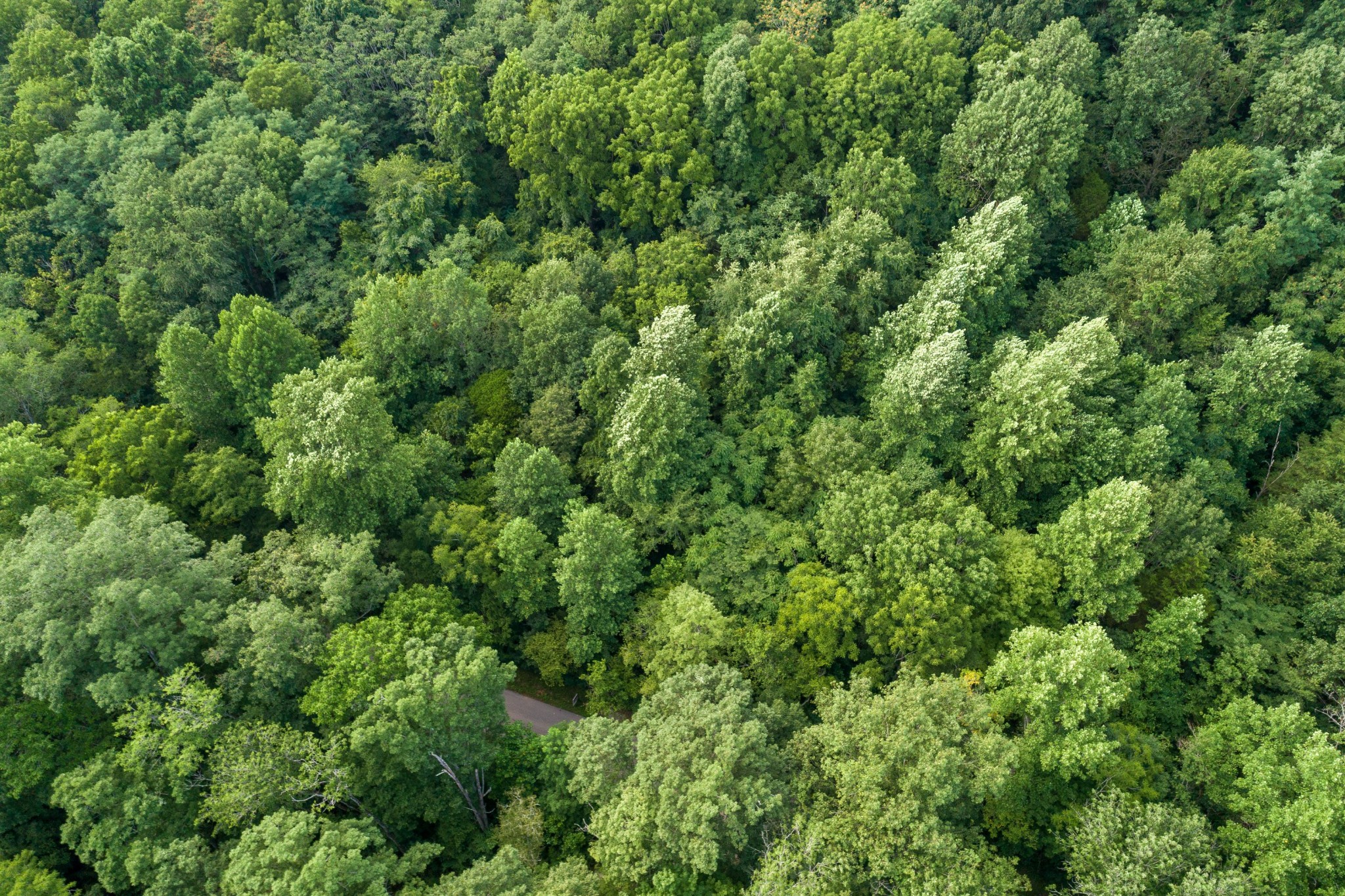 2 Norton Branch Road Beechgrove, TN 37018 - Photo 6 of 8 Gallery Image 6