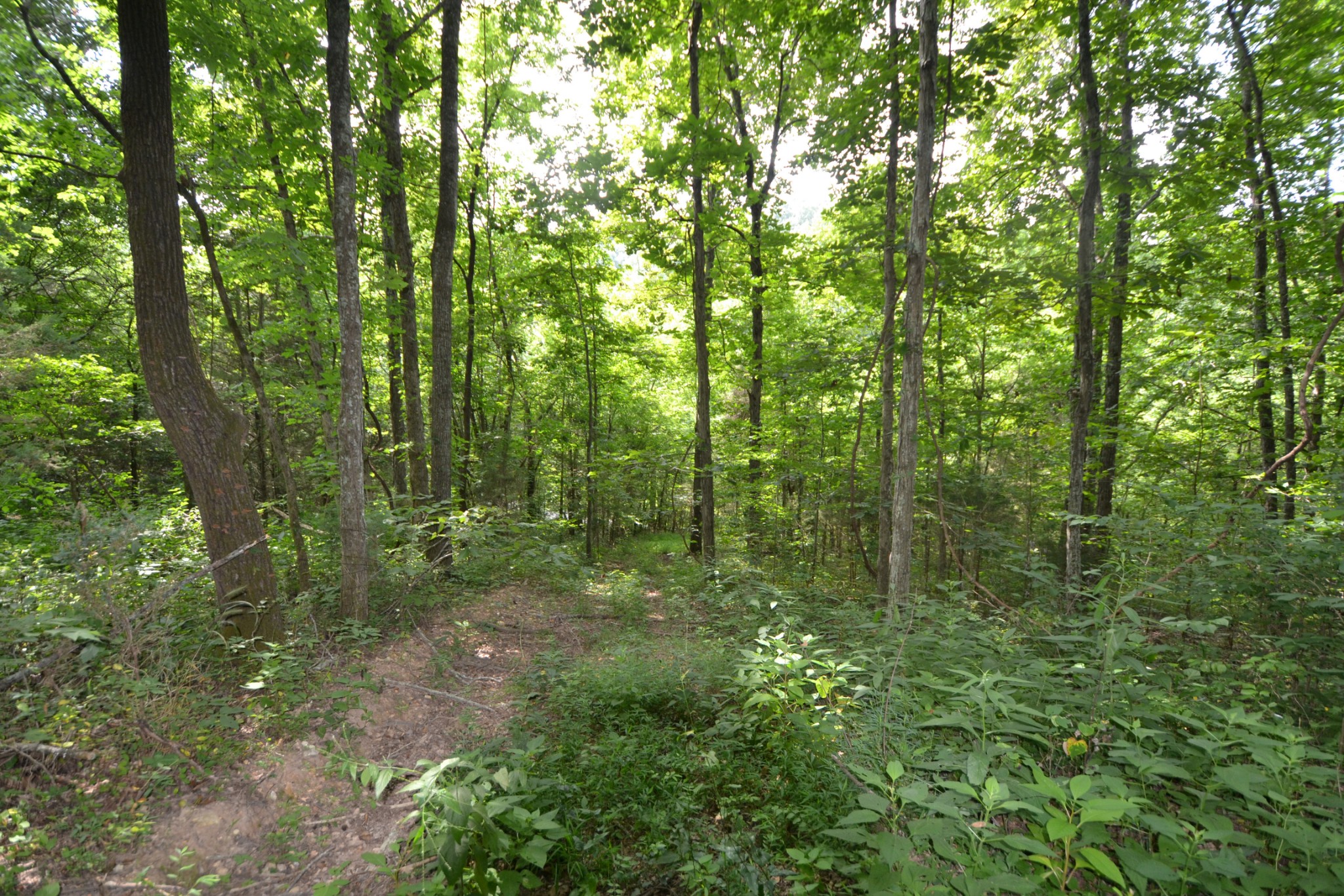 2 Norton Branch Road Beechgrove, TN 37018 - Photo 7 of 8 Gallery Image 7