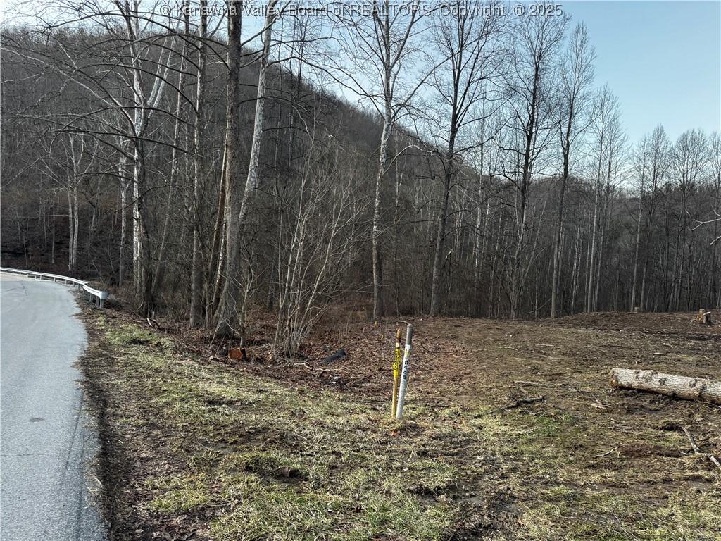 1696 Limestone Branch Road Harts, WV 25524 - Photo 13 of 18 Gallery Image 13