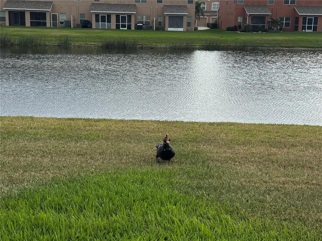 11562 84th St Circle East, Unit 102 Parrish, FL 34219 - Photo 19 of 19