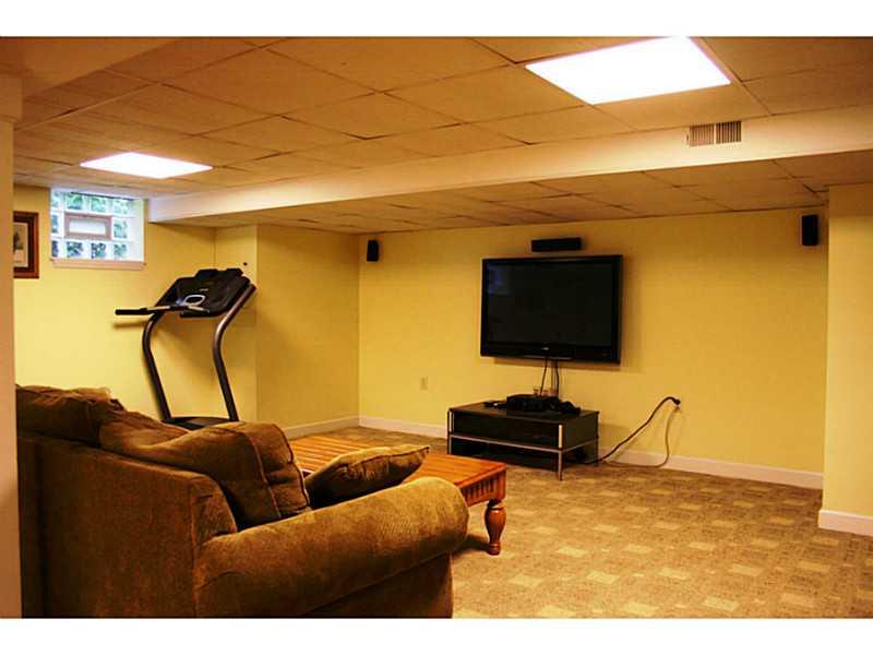 204 Mingo Road Wexford, PA 15090 - Photo 18 of 25 Basement/Game Room. THE EXPANSIVE FINISHED BASEMENT.