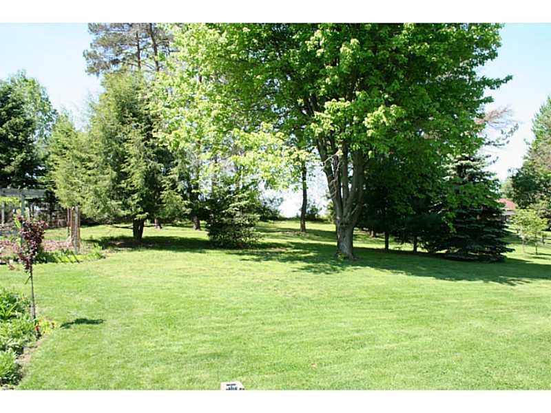 204 Mingo Road Wexford, PA 15090 - Photo 24 of 25 Yard/Garden. A SMALL POND IN REAR YARD.