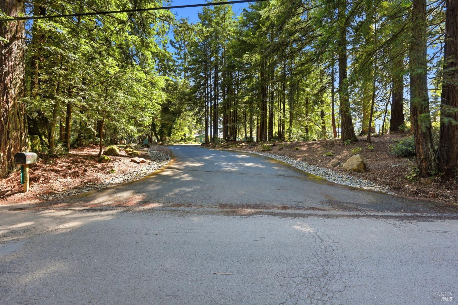 17375 Willow Creek Road Occidental, CA 95465 - Photo 3 of 94