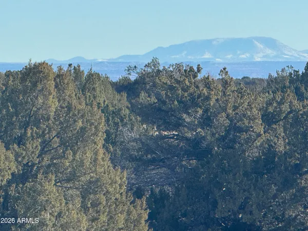 a view of a mountain