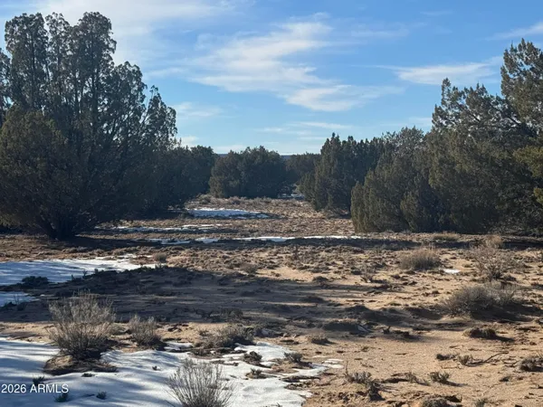 a view of a backyard of the house
