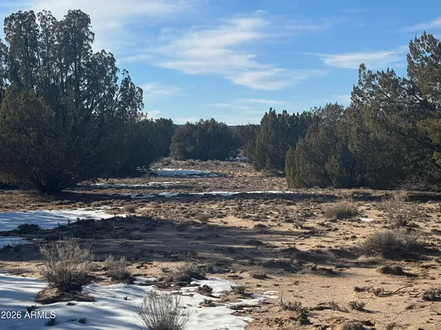 a view of a backyard of the house
