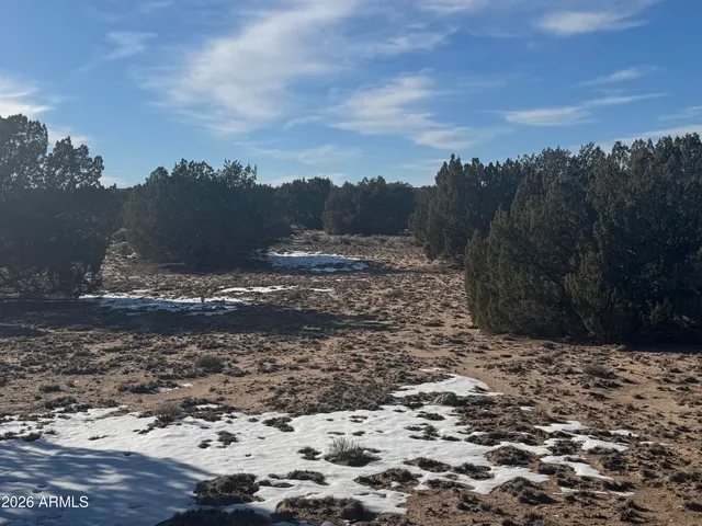 a view of a yard with mountain view