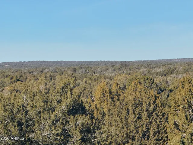 wooden floor in a bathroom