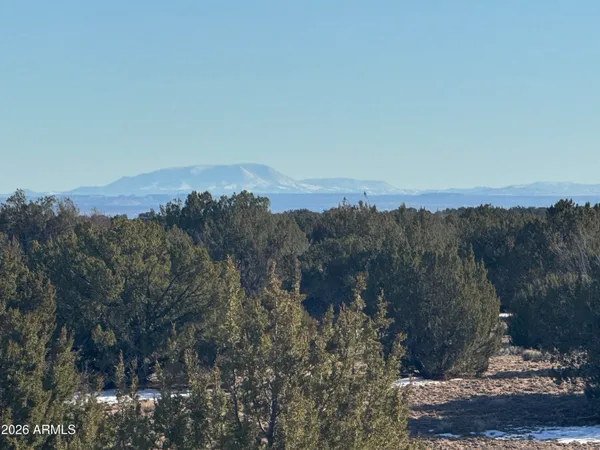 a view of a city with mountains in the background
