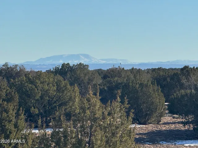 a view of a city with mountains in the background