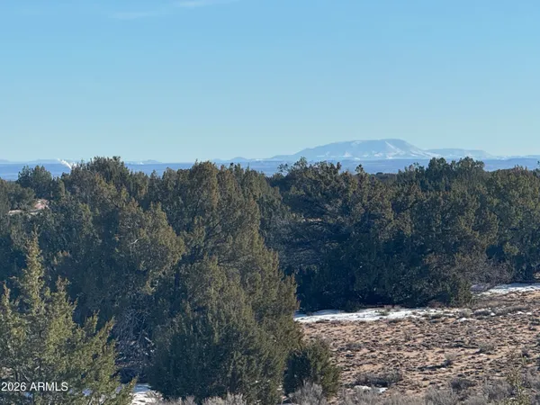 a view of a yard with a mountain