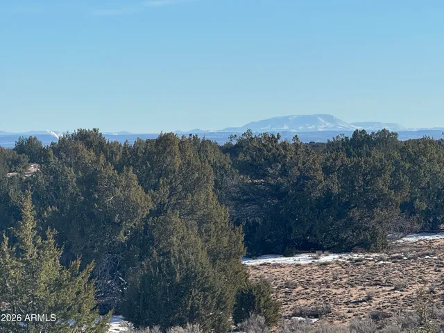 a view of a yard with a mountain