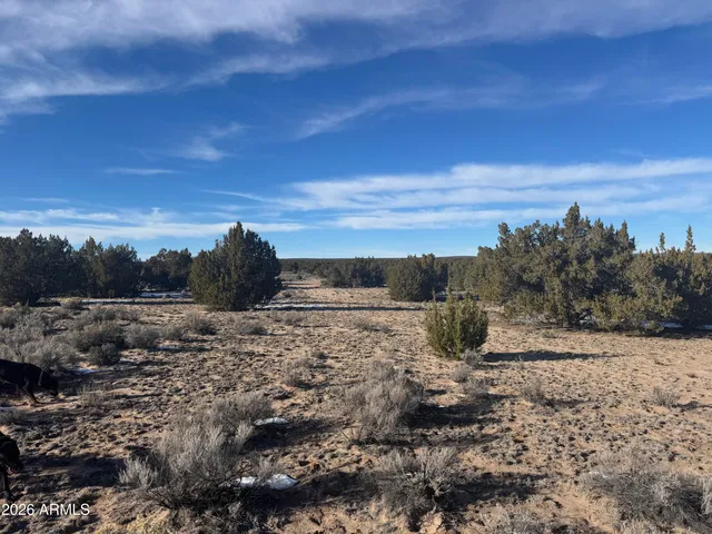 a view of a yard with wooden fence