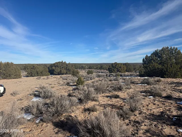 a view of a dry yard with wooden fence