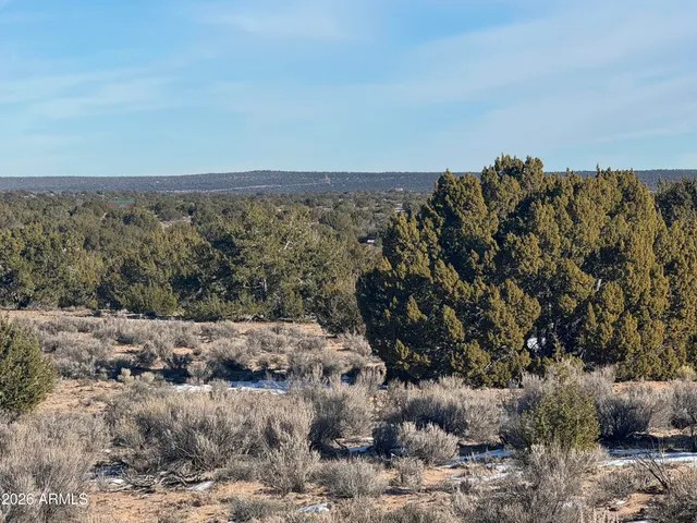 a view of a large building with a mountain in the background