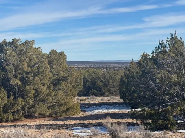 a view of a yard with mountain view